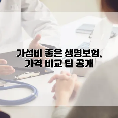 가성비 좋은 생명보험, 가격 비교 팁 공개