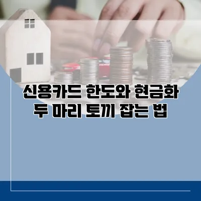 신용카드 한도와 현금화 두 마리 토끼 잡는 법
