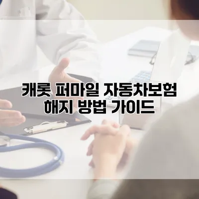 캐롯 퍼마일 자동차보험 해지 방법 가이드