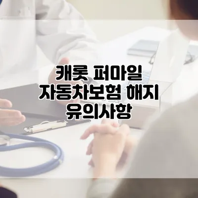 캐롯 퍼마일 자동차보험 해지 유의사항