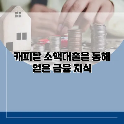 캐피탈 소액대출을 통해 얻은 금융 지식