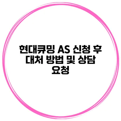 현대큐밍 A/S 신청 후 대처 방법 및 상담 요청