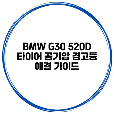 BMW G30 520D 타이어 공기압 경고등 해결 가이드