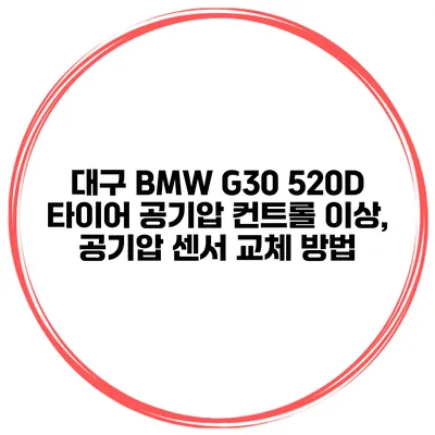 대구 BMW G30 520D 타이어 공기압 컨트롤 이상, 공기압 센서 교체 방법